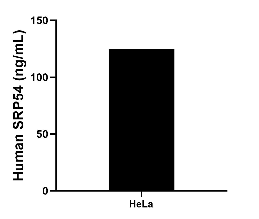 The mean SRP54 concentration was determined to be 124.39 ng/mL in HeLa cell extract based on a 1.20 mg/mL extract load.